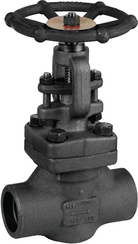 Globe valve - Straight Steel body - Graphite - DN50 - Socket weld ...